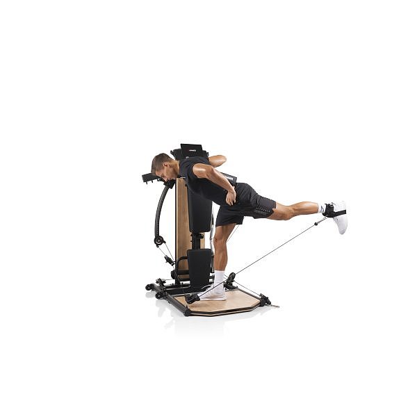 Posilovací věž HAMMER BioForce MX NorsK design dřevo