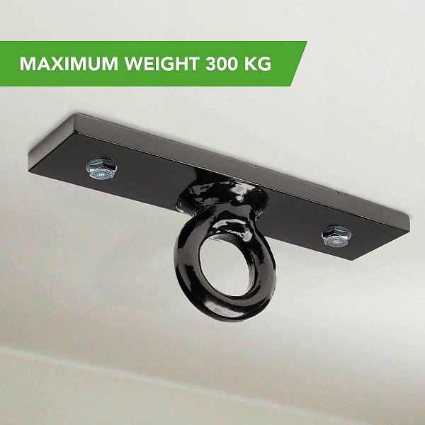 Tunturi Boxing Bag Ceiling Ring